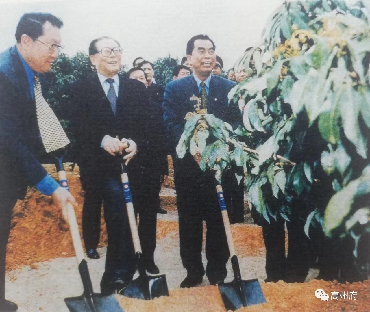 YABO.COM电保-中国荔枝博物馆智慧用电改造